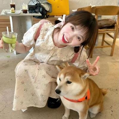 爱来送作堆 海报